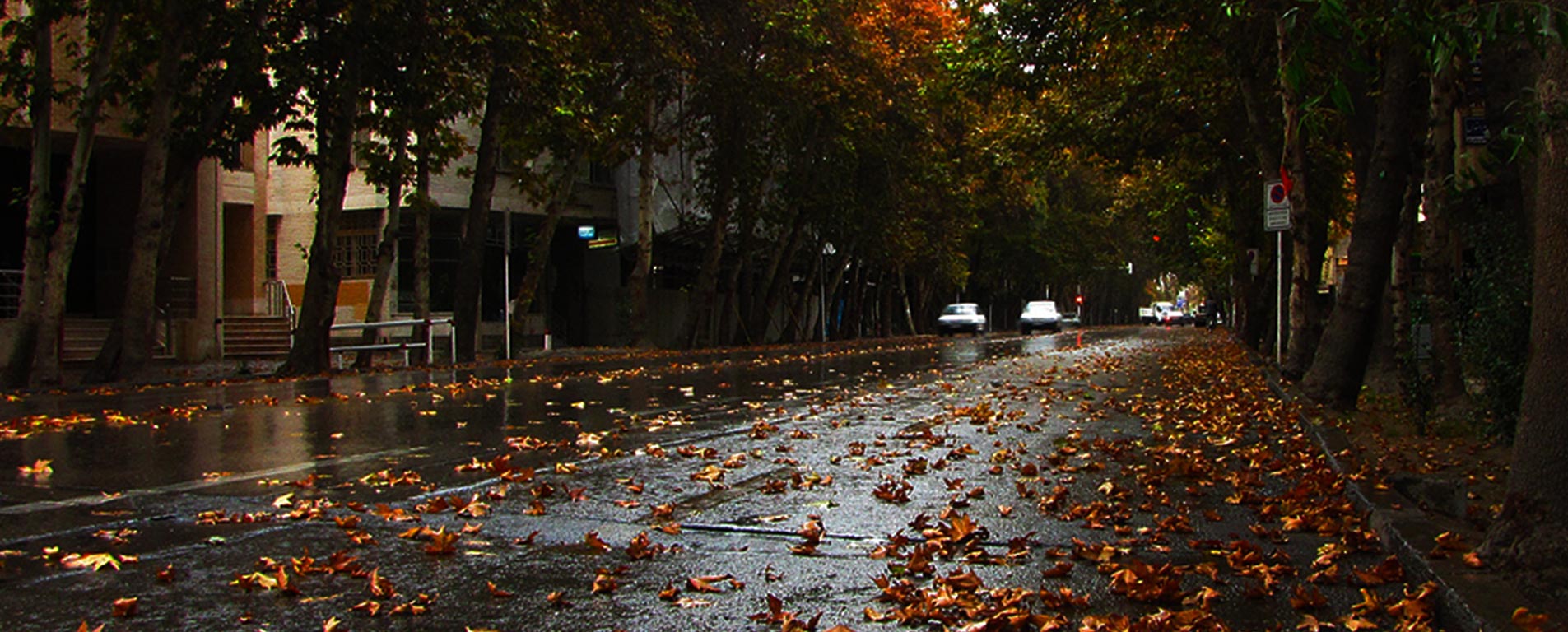 خیابان ولیعصر - تهران
